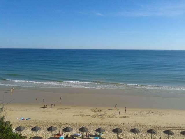 2 bedroom Apartment Falésia Beach Albufeira Habitación foto